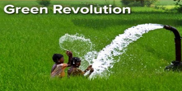 Image result for green revolution